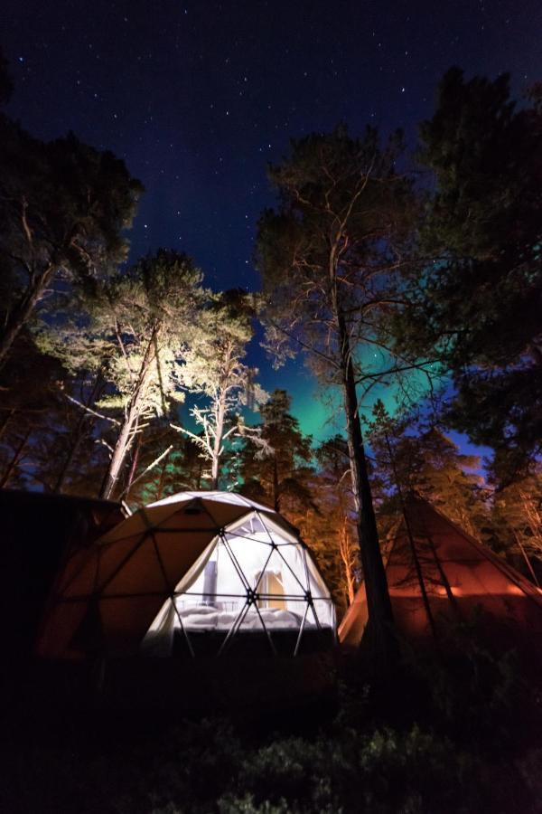 Glod Aurora Canvas Dome Alta Extérieur photo