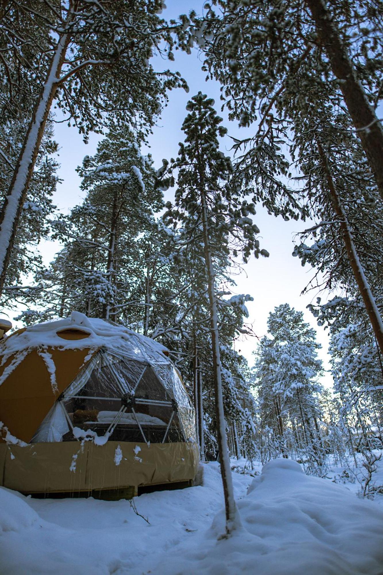 Glod Aurora Canvas Dome Alta Extérieur photo