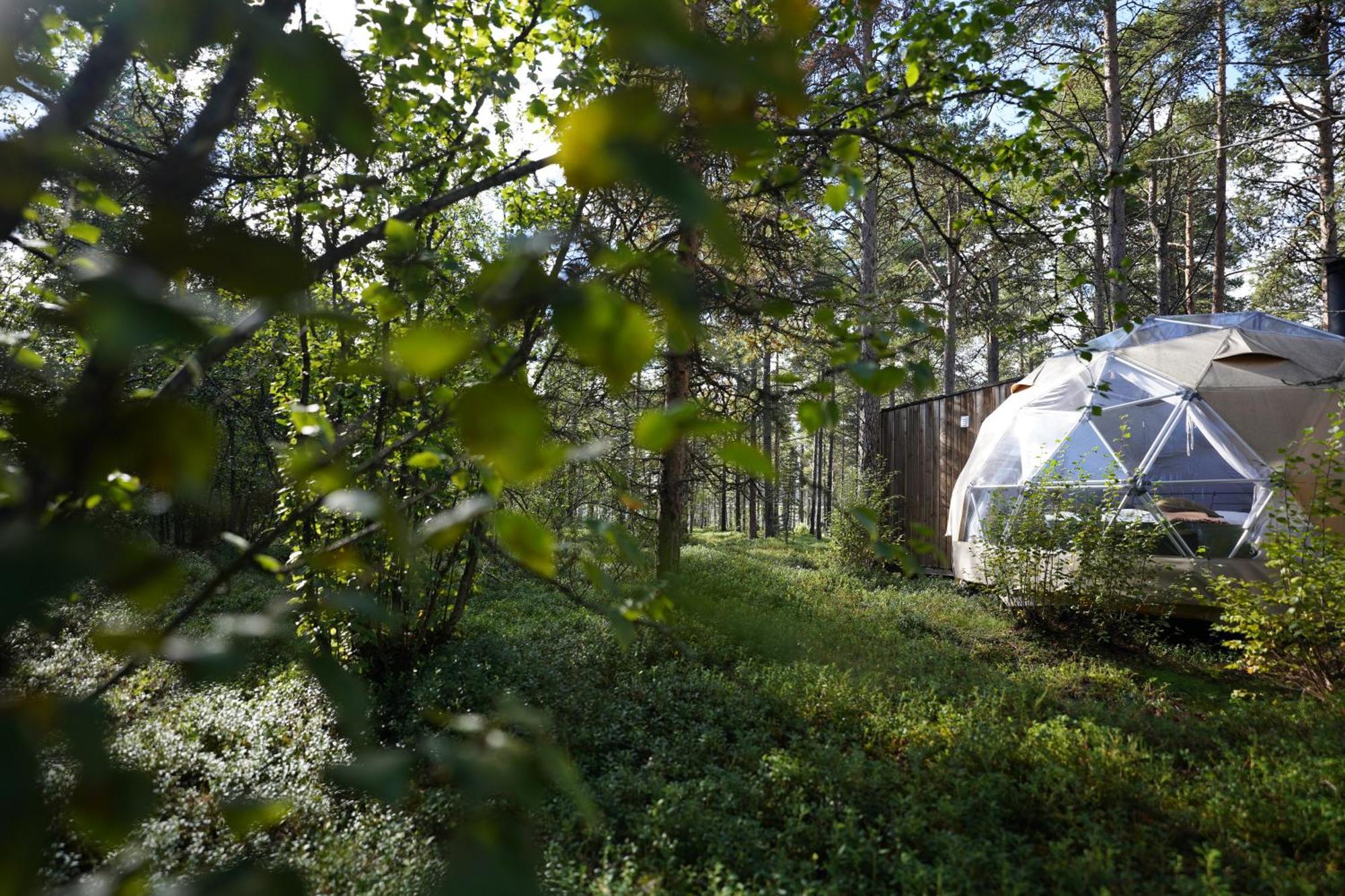 Glod Aurora Canvas Dome Alta Extérieur photo