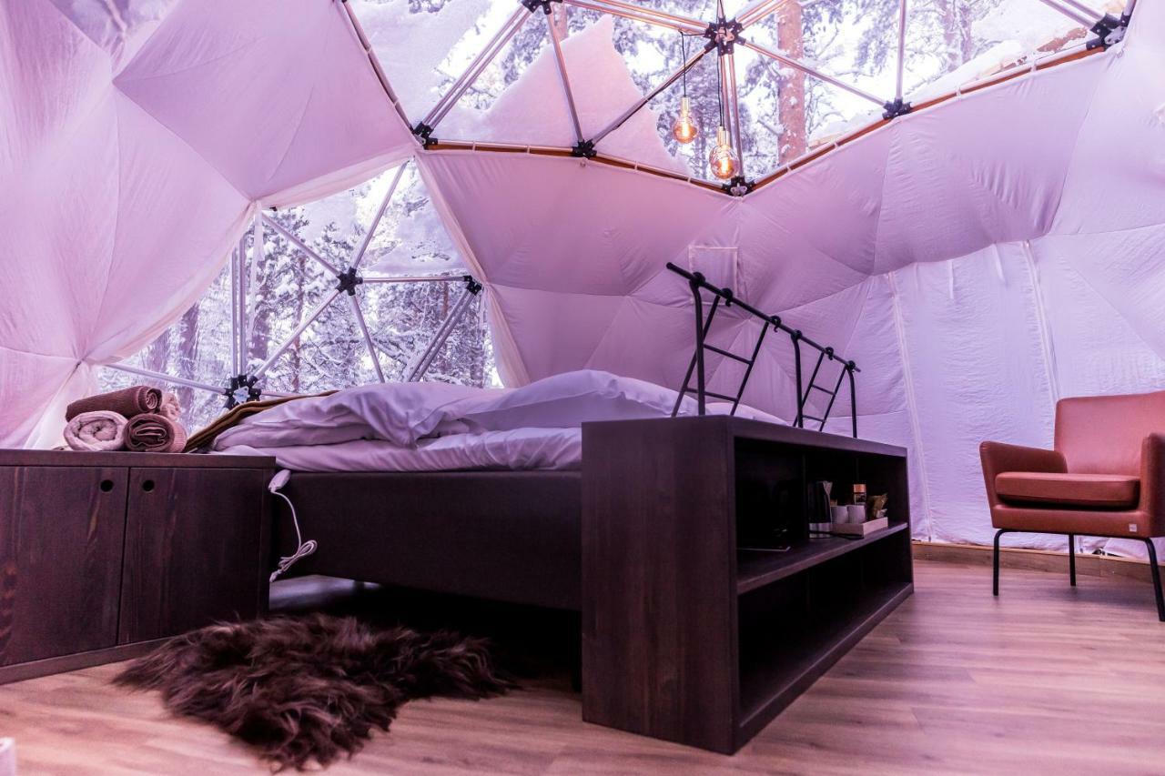 Glod Aurora Canvas Dome Alta Extérieur photo