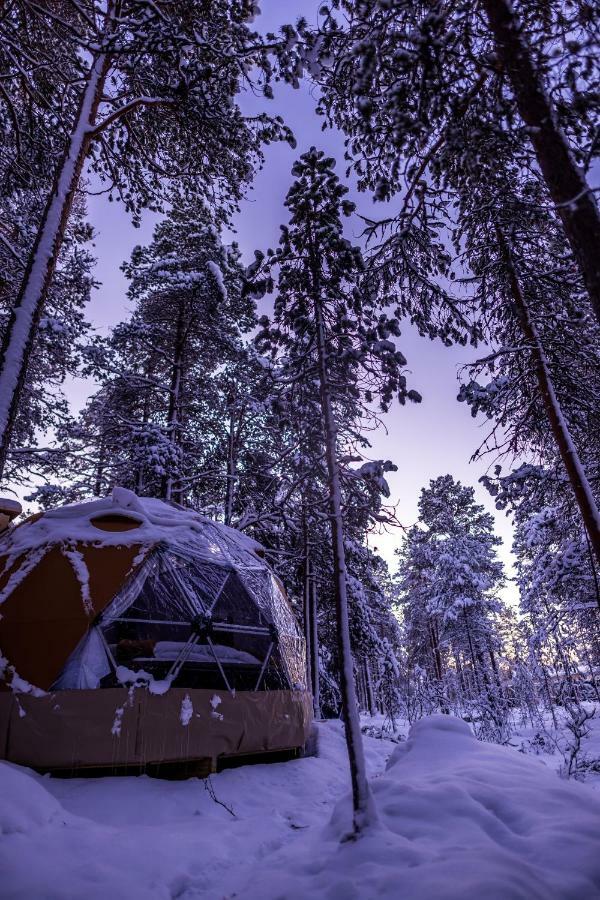 Glod Aurora Canvas Dome Alta Extérieur photo