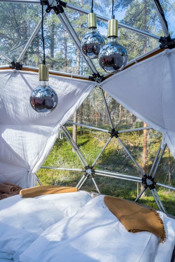Glod Aurora Canvas Dome Alta Extérieur photo
